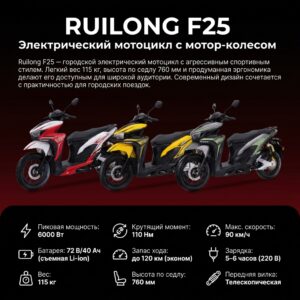 Ruilong F25 электрический мотоцикл с мотор-колесом